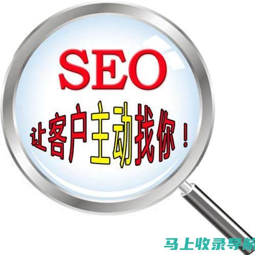 搜索引擎优化的核心——SEO查询的实用技巧探讨